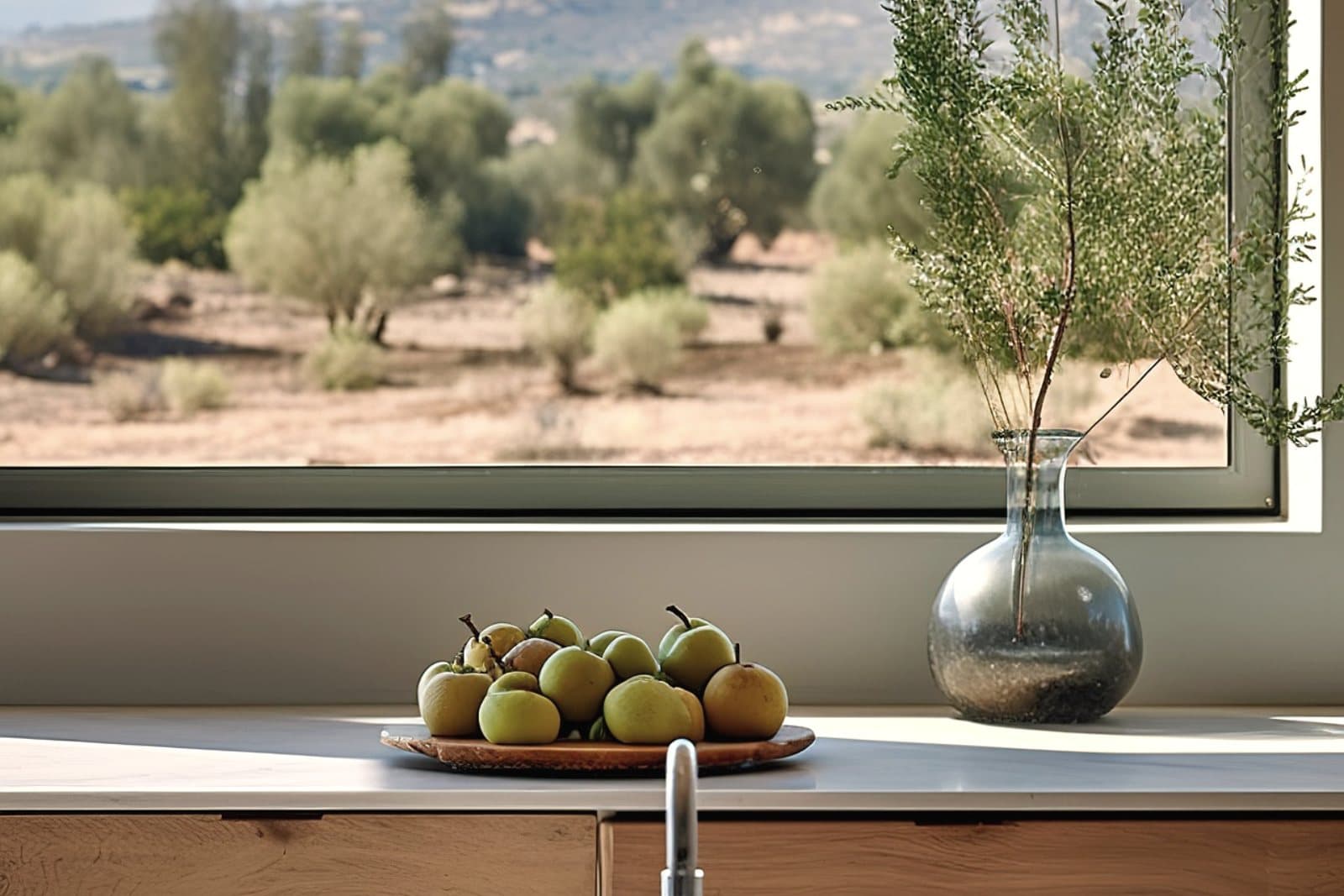 An olive branch in a vase on a sunlit windowsill